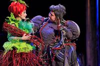 striborova_09-049.jpg